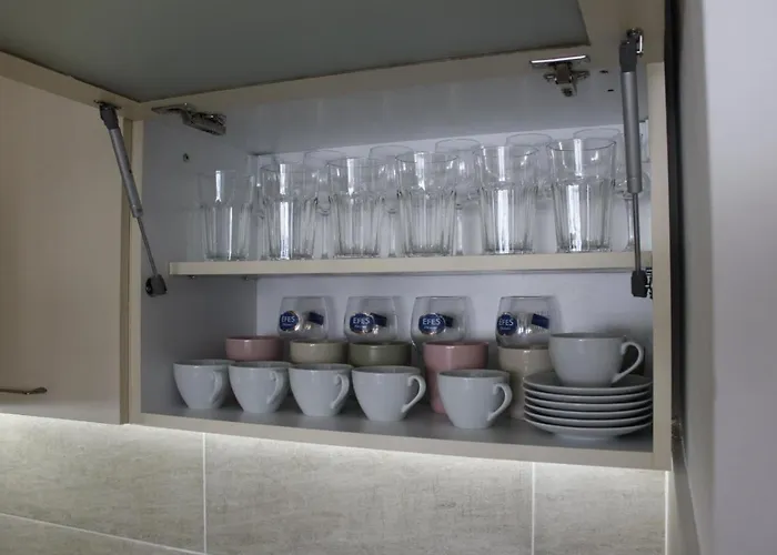 Filipovic * 즐라티보